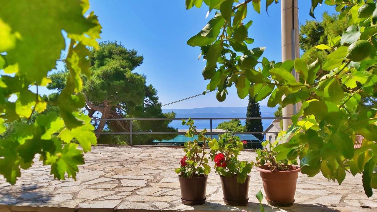 Apartments Gajo Omiš Exterior foto
