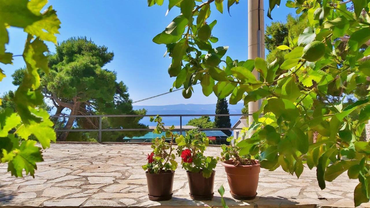 Apartments Gajo Omiš Habitación foto